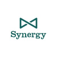 Synergy Leadership
