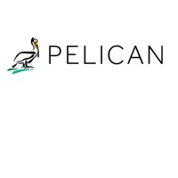 Pelican Wireless Systems logo - Similar company to Hireko, Inc.