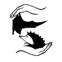 Fundacja Na Rzecz Ochrony Dzikich Zwierząt PRIMUM logo - Similar company to Fundacja Dla Szczeniąt Judyta