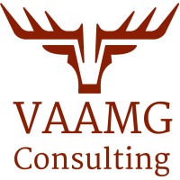 VAAMG Consulting logo - Similar company to Digikick