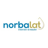 Norbalat Srl logo - Similar company to D'Ambruoso Arredamenti