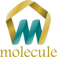 Molecule Publishing House logo - Similar company to Leading Research Group