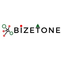 Bizetone logo - Similar company to Infodepots