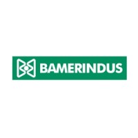 Banco Bamerindus logo - Similar company to Banco Hcb