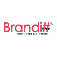 Branditt logo - Similar company to Re > Center Tech™