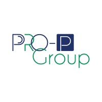 Pro-P Group logo - Similar company to D-Zone