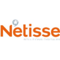 Netisse logo - Similar company to Texprocorp