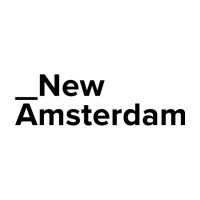 The New Amsterdam Group BV logo - Similar company to Platform & Cloud Café