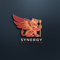 Synergy Idea Consultants LLP logo - Similar company to Evolve Technologies