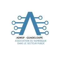 Association Du Numérique du Secteur Public (ADNSP) logo - Similar company to Gws97