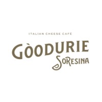 Goodurie Soresina logo - Similar company to Allways