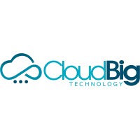 CBT Consulting Pvt Ltd logo - Similar company to Cloudbig Technology