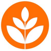 Brand New School logo - Similar company to Transistor Studios