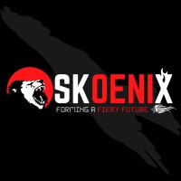 Skoenix logo - Similar company to Mnj Group