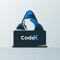 CodeX Network logo - Similar company to Lab51 Inc.