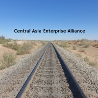 Central Asia Enterprise Alliance logo - Similar company to Brainterms.Ai