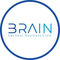 Brain Digital logo - Similar company to Breezyclouds.Com