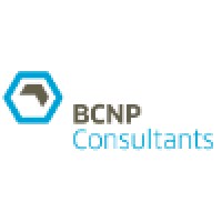 BCNP Consultants GmbH logo - Similar company to Consulting Bridge