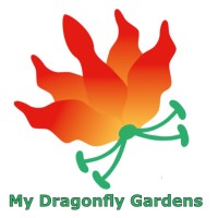 My Dragonfly Gardens logo - Similar company to Catapultx Accelerator