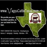 Wagyu Cattle Texas logo - Similar company to Wagyu Games, Llc.