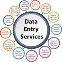 Data Entry Services logo - Similar company to Data Entry Outsourced