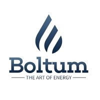 Boltum logo - Similar company to African Hustle
