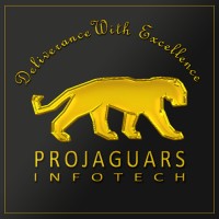 ProJaguar Infotech logo - Similar company to Cybersec It Services Pvt Ltd