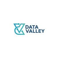 DataValley Technologies logo - Similar company to Datavalley