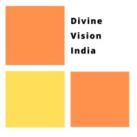 DivineVisionIndia logo - Similar company to Mindesign