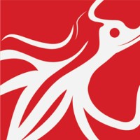 Redsquid logo - Similar company to Utilize Plc
