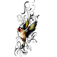 Goldfinch & Partners logo - Similar company to Hug