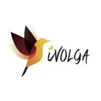 Ivolga Technologies