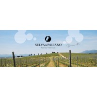 AZIENDA VITIVINICOLA 