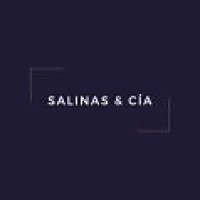 Salinas y Cia. - Abogados logo - Similar company to Mundo Parcelas