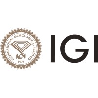 IGI - International Gemological Institute India logo - Similar company to Gia (Gemological Institute Of America)