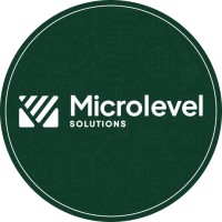 Microlevel Solutions logo - Similar company to Vipodha Solution