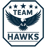 Team-Hawks logo - Similar company to Cosmic Space Systems