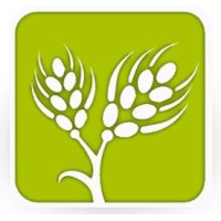 Stichting Ecologische Landbouw Projecten Ghana (ELPG) logo - Similar company to Ceal Ghana