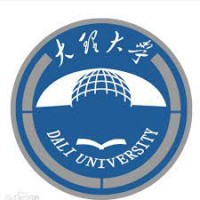 Dali University logo - Similar company to Dash