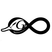 Goose Consulting logo - Similar company to Mi-Global S.L