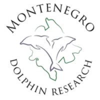 MDR - Montenegro Dolphin Research logo - Similar company to Bazaruto Center For Scientific Studies (Bcss)