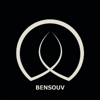 Bensouv Consultancy logo - Similar company to Shuttle Knit Ireland