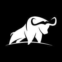 Buffalo Cricket logo - Similar company to Frisson Creative Agency