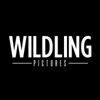 Wildling Pictures logo - Similar company to Visitor Media