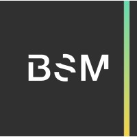 BSM | Business Services & Management logo - Similar company to Virens