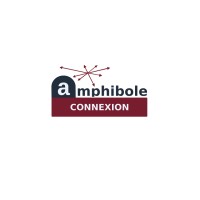 Amphibole - Connexion logo - Similar company to A2S Amiante Solutions Services