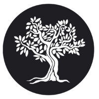 MEDITERRANEAN FUSION logo - Similar company to Raíz Studio