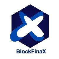 BlockFinaX logo - Similar company to Andrez Finance