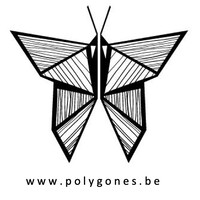 Polygones logo - Similar company to Smart2Circle