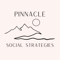 Pinnacle Social Strategies logo - Similar company to The Synthetic Grass Store | Premier Artificial Grass Experts Since 2008